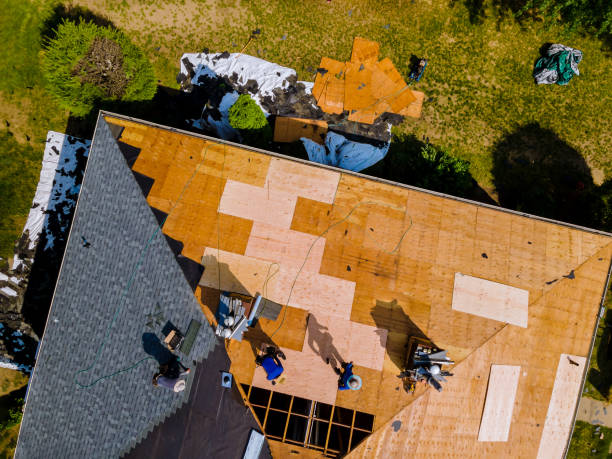 Best Metal Roofing Contractor  in Redland, AL
